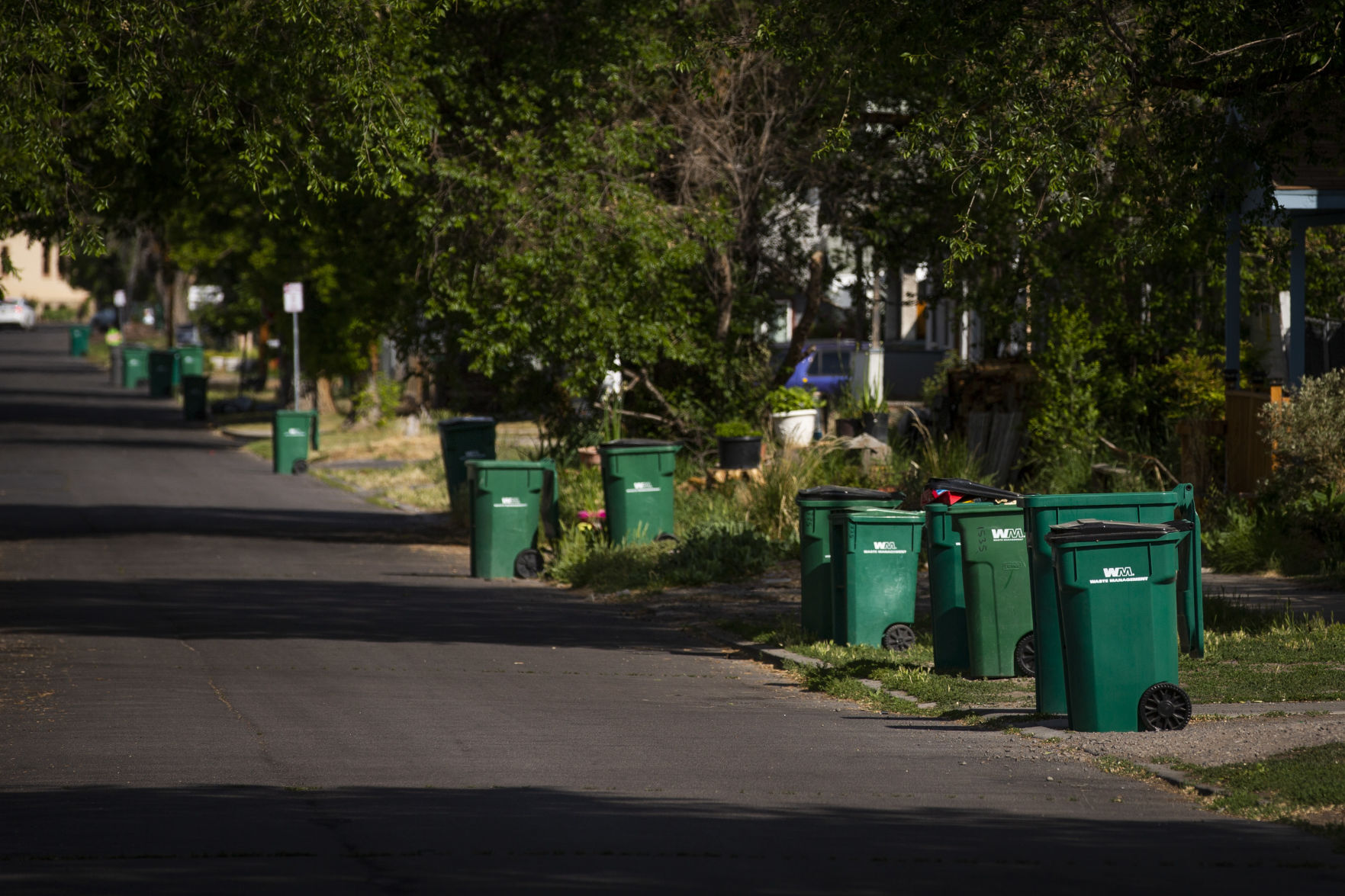 Recycling Bins on Martin Street